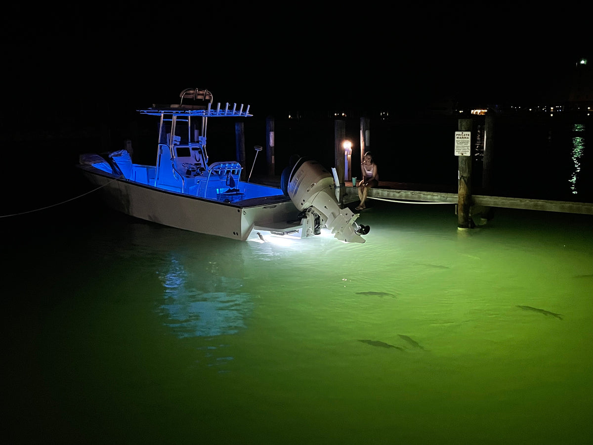 Black Oak LED underwater boat lighting, the underwater light options reviewed in this guide.