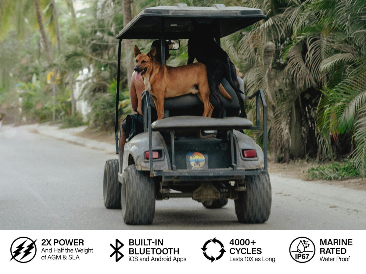 A golf cart running a Black Oak 48V 120Ah lithium battery, a recreational cart of the sort this article discusses.
