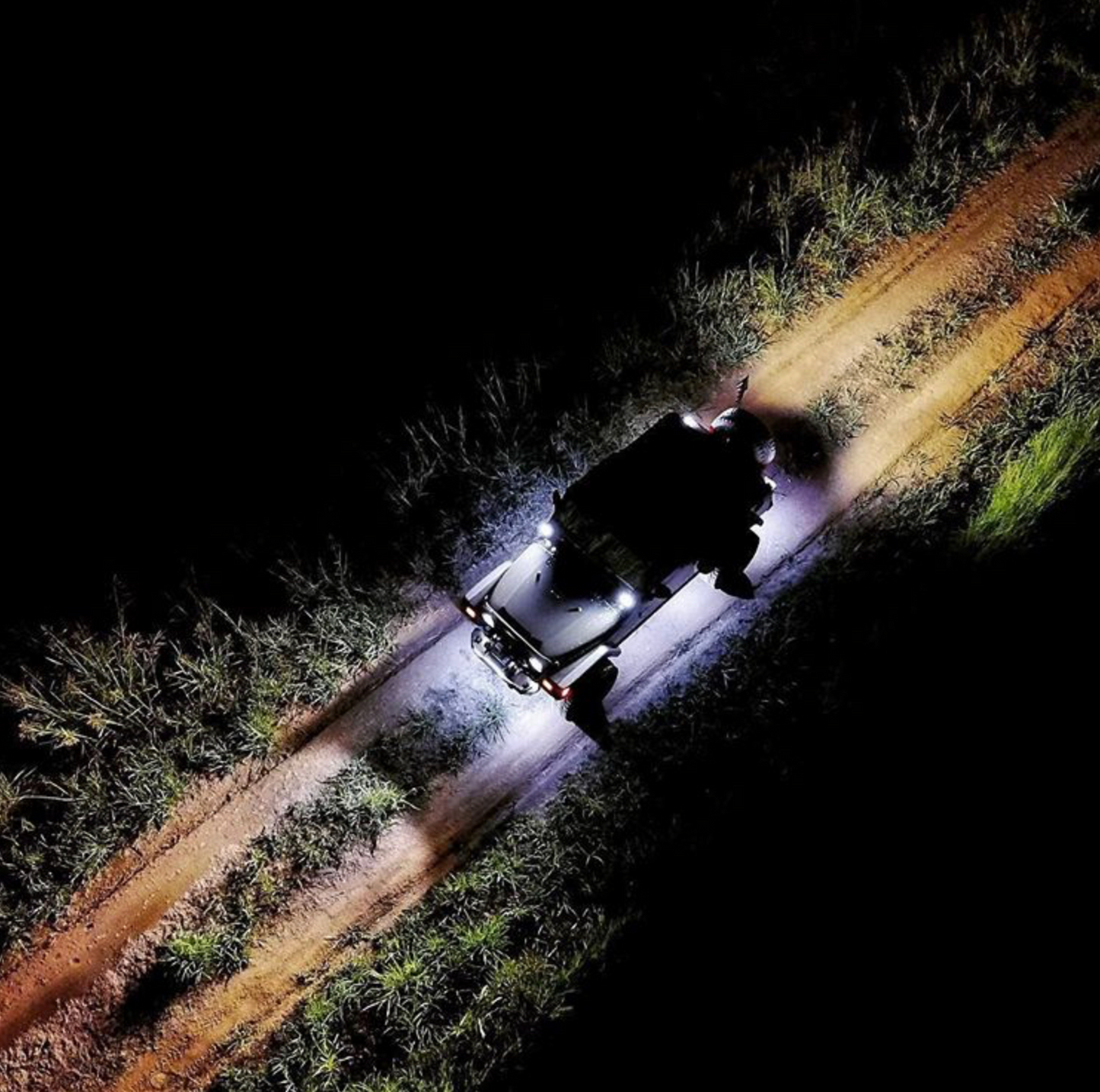 Pure White LED Rock Lights