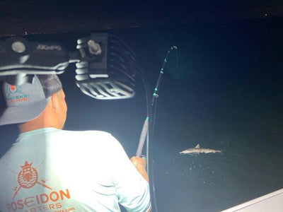 Bowfishing Scene