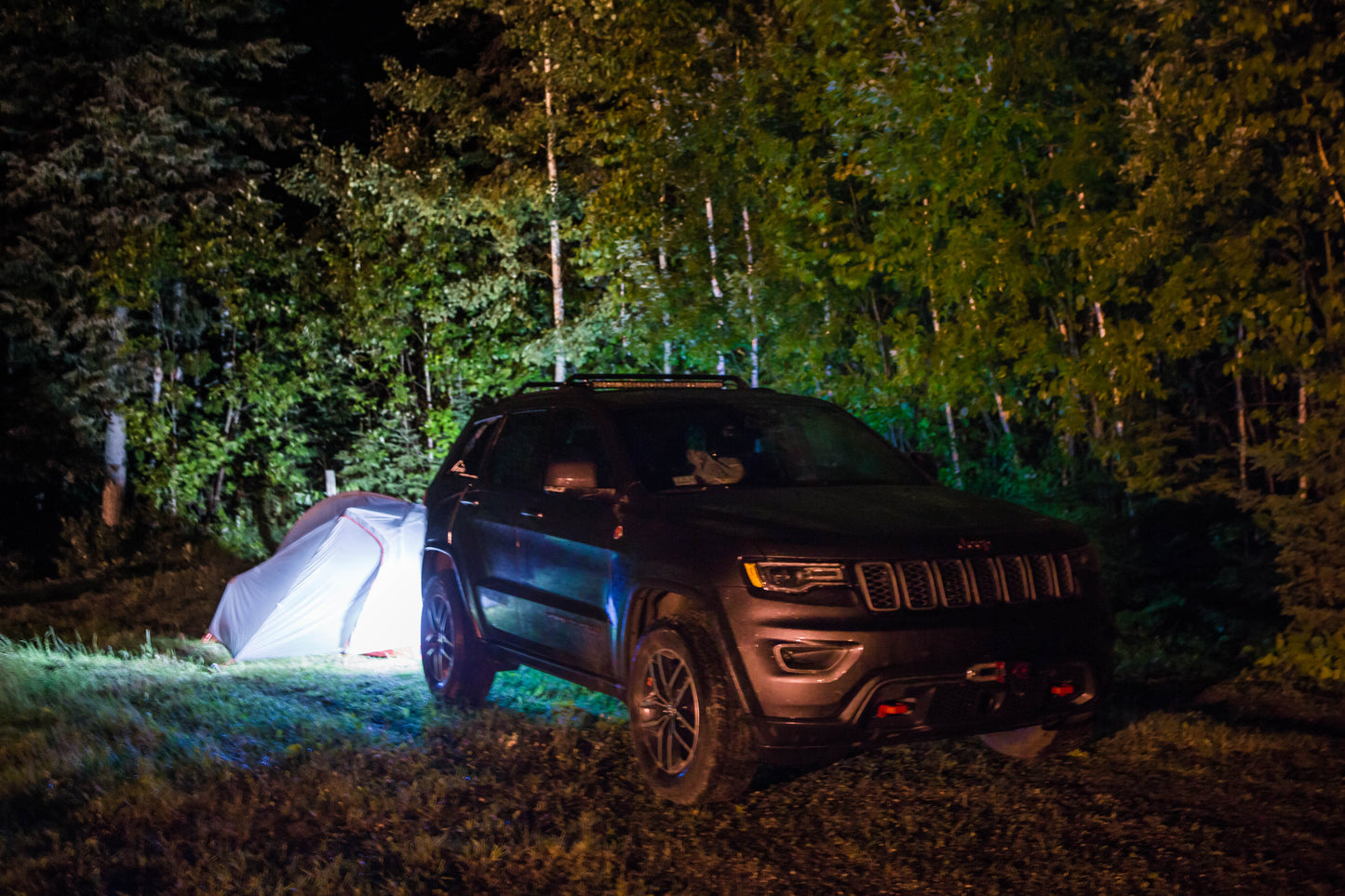 GoPOD™ - Suction Cup Jobsite Light - Black Oak LED Pro Series 3.0