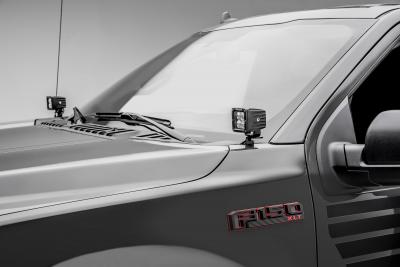 F150 shop ditch lights