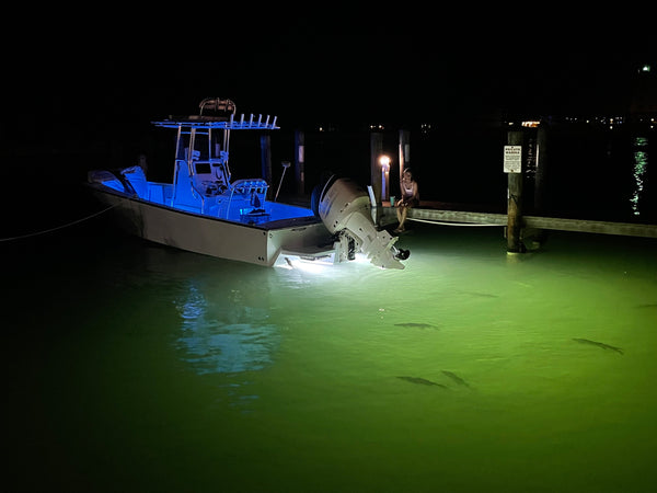 Black Oak LED underwater boat lighting, the underwater light options reviewed in this guide.