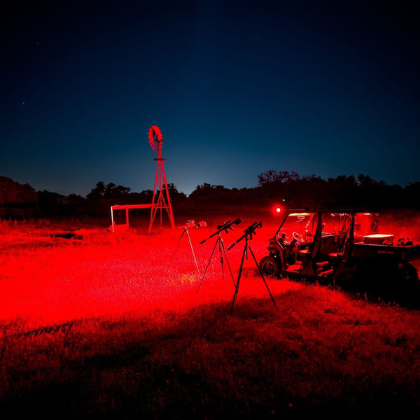 Black Oak LED red hunting light imagery, the red predator hunting lights compared in this guide.