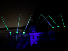 Ultraviolet LED Rock Lights