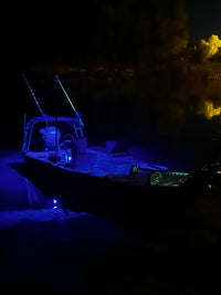 Ultraviolet LED Rock Lights