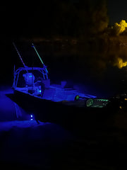 Marine Accent Light
