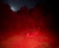 2 Inch Red Predator Hunting LED Pod Light | Diffused Optics | Pro Series 3.0 (12W)