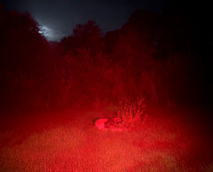 New - 2 Inch Red LED Diffused Predator Hunting Pod Light - Black Oak LED Pro Series 2.0