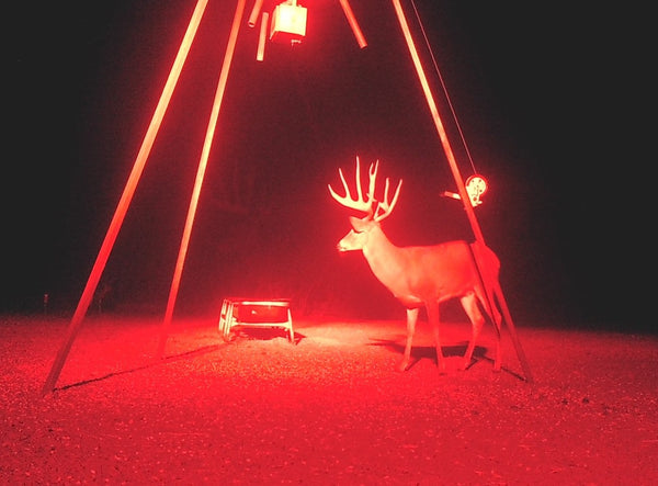 New - 20 Inch Curved Red LED Predator Hunting LED Light Bar - Combo ...