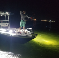 Bowfishing 20 Inch Scene Double Row LED Light Bar - Black Oak LED Pro Series 3.0